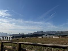 -君乐宝优致牧场
