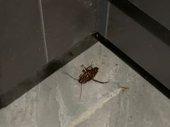 -途睿健身游泳俱乐部(顶峰店)