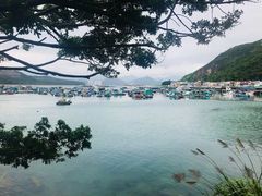 -南丫岛