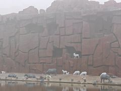 -国家动漫园