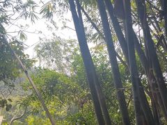 -凤阁楼果木烧鹅(鹤山陈山店)