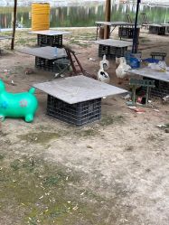 -上美四季动物农场