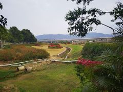 -光明小镇欢乐田园