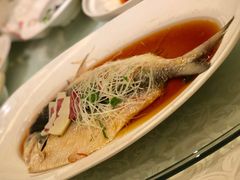 清蒸鲥鱼-绍兴饭店(大宁店)