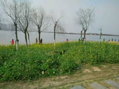 -瑶湖郊野森林公园