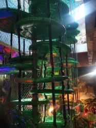 -恐龙探索乐园(磁器口店)