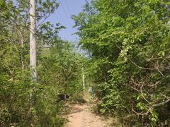 -大觉寺-停车场