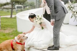 -保定金沙芝柏婚礼策划