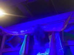 -毡房姑娘·新疆菜·烧烤