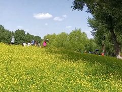 -长白岛森林公园