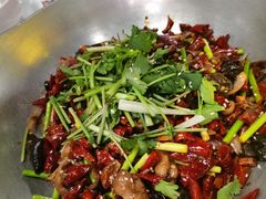 -胡桃里民谣酒馆