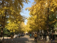 -北京化工大学(东校区)