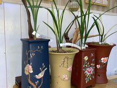 -Rabbit Cafe私房西餐甜点咖啡(栖霞路店)