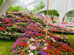 -怡咖啡·自助餐·西安香格里拉