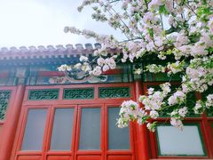 -元大都城垣遗址公园