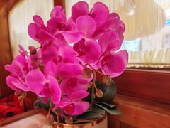 -小吊梨汤·北京菜·烤鸭(王府井银泰in88店)