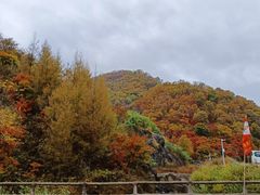 -天女山森林公园
