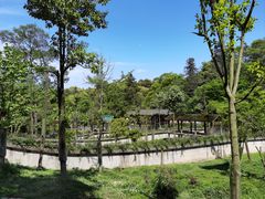 -中国大熊猫保护研究中心雅安碧峰峡基地
