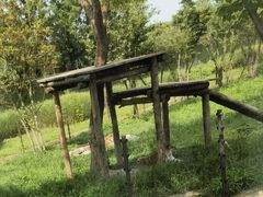 -上海野生动物园