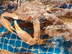 -宋园·金宴浙鲜馆(静安店)