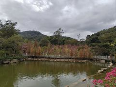 -广州市帽峰山景区