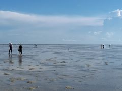 -北海金海湾红树林生态旅游区