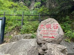 -茅兰沟国家森林公园