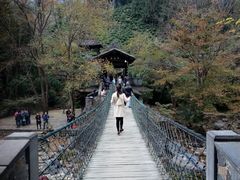 -石台牯牛降景区