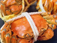 -阳澄湖大闸蟹·琼灵阁牌品牌连锁(吴中总店)