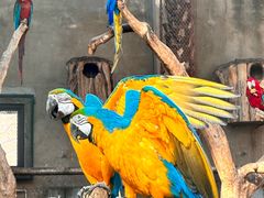 -大连森林动物园