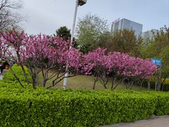 -唐山抗震纪念碑广场