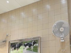 -义顺牛奶公司(新马路老店)