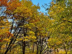 -帽儿山国家森林公园