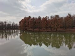 -上海海湾国家森林公园