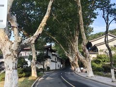 -绍兴饭店知遇楼(环山路店)