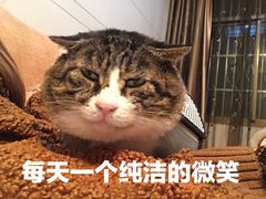 -红宝石·鲜奶小方(昌里店)