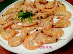 白  灼  虾-悦秀大酒楼(江头店)