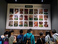-广东中医药博物馆