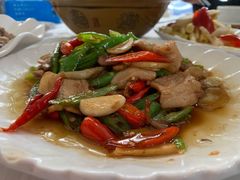 -明升萝卜汤