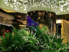 -润园四季椰子鸡火锅(海上世界店)