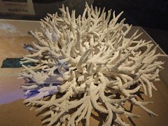 -天津自然博物馆