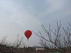 -三圣花乡旅游区