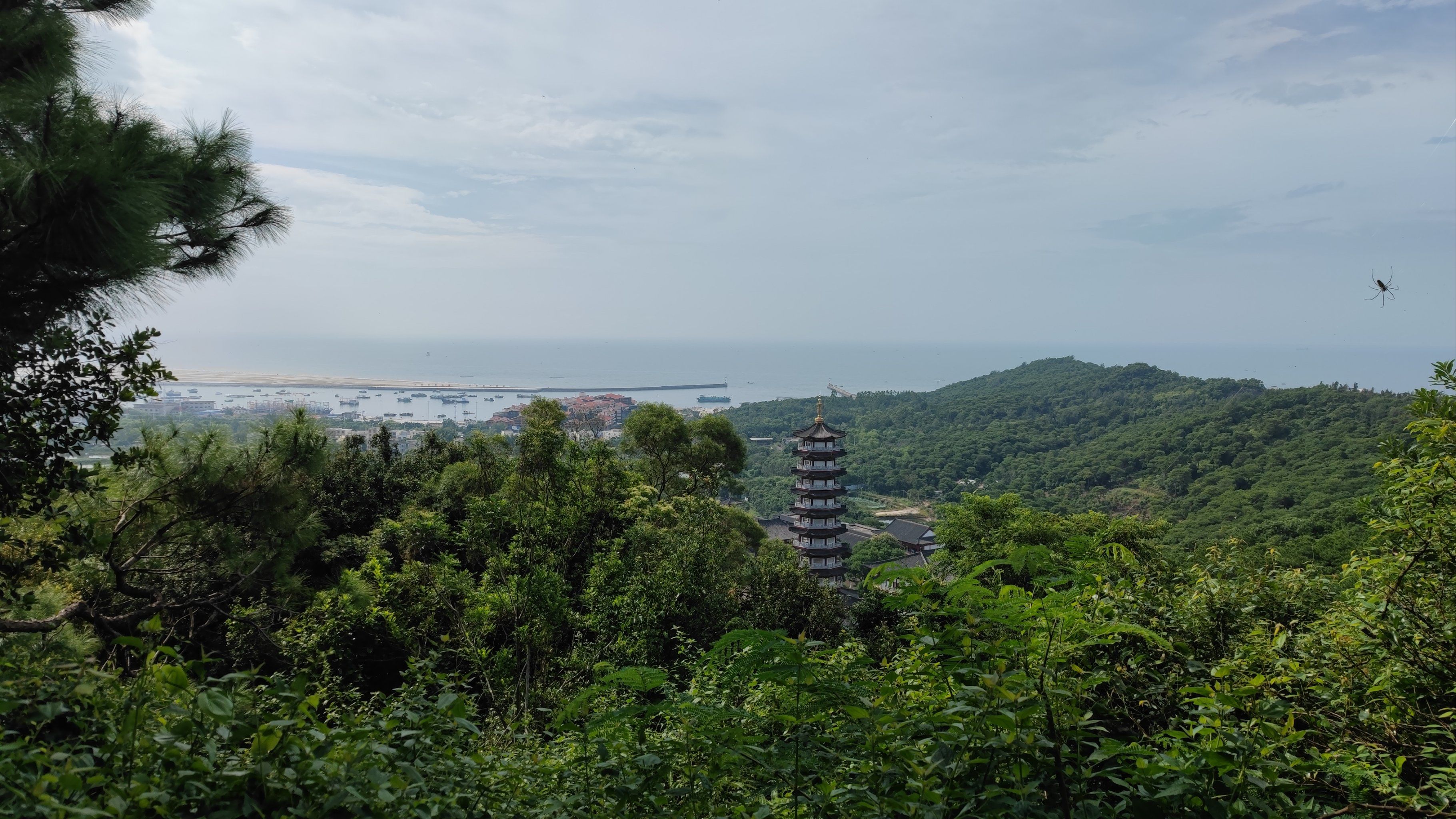 北海丨冠头岭山顶看风景
