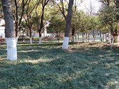 -玉山公园