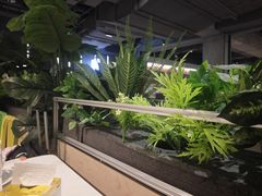 -菌小白火锅(时尚天河店)