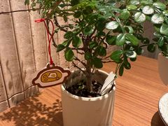 -CURRY YA 熟成咖哩專門店(深圳湾万象城店)