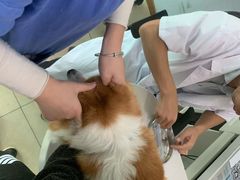 -乐宠动物医院