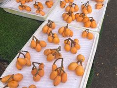 -南坛综合农贸市场