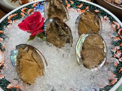 手工冰镇鲍鱼-木棉·醉心粤味(COCO Park店)
