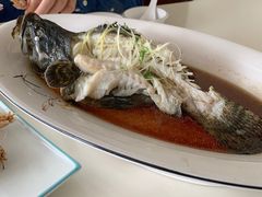 -鑫悦楼煎蟹·16年海鲜大排档